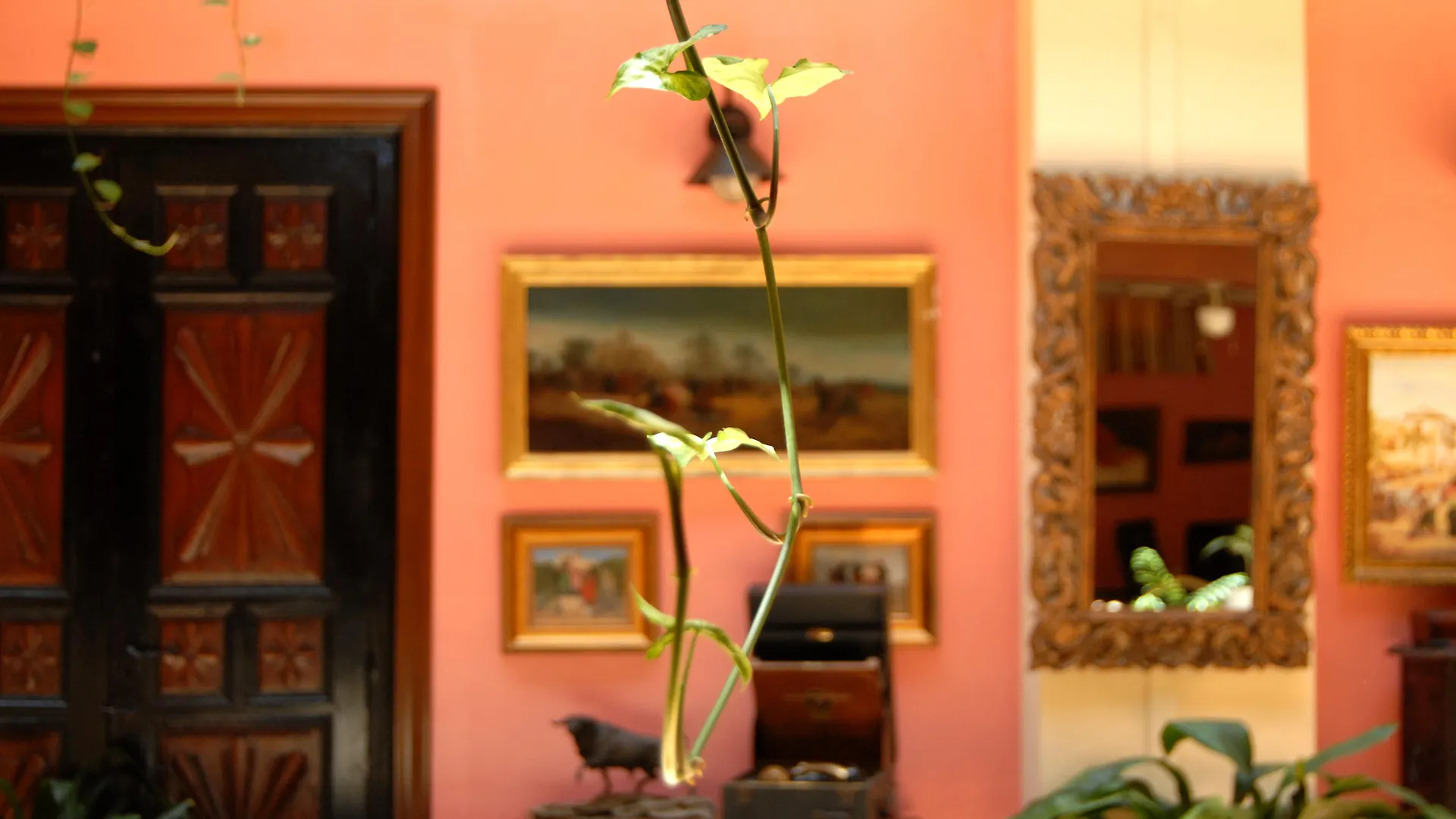 אל פוארטו דה סנטה מריה Hotel Pinomar ספרד
